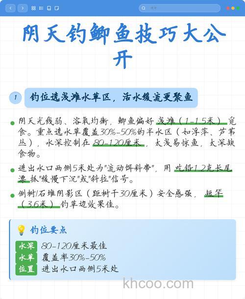 阴天10℃钓鲫鱼最佳方法？