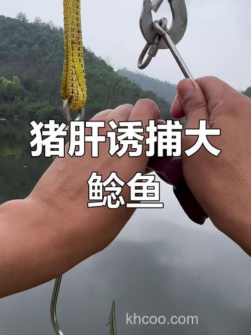 野钓进水口用猪肝钓鲶鱼效果怎么样？