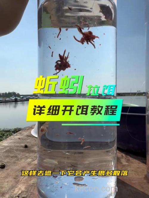 蚯拉饵料制作方法