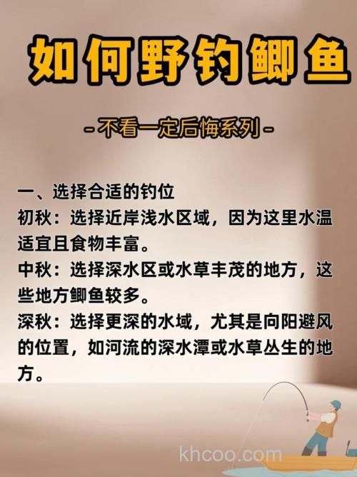 黑坑钓鲫鱼5大“爆护”技巧（强烈推荐）