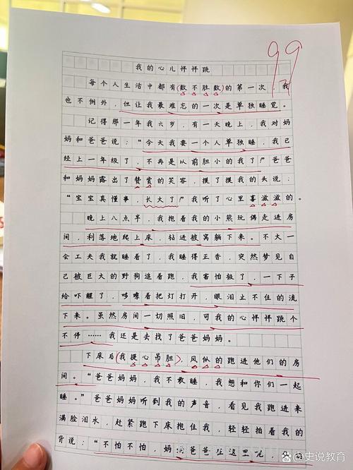 壶山小学的作文