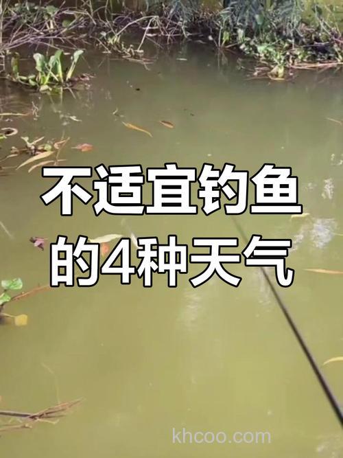 不适合钓鱼的天气有哪些？