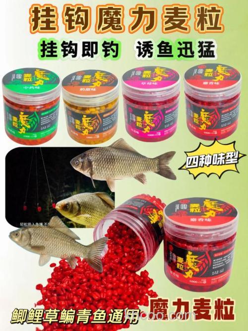 什么钓麦效果最好？