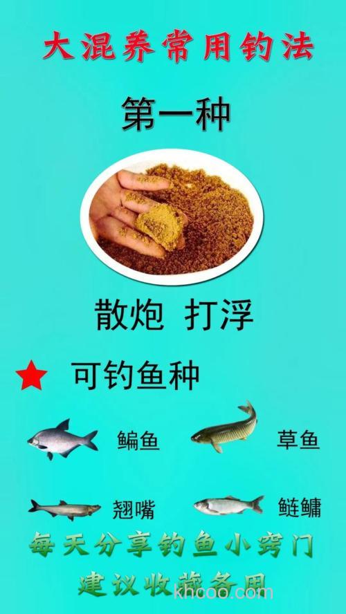 浮钓鳊鱼的技巧和方法有哪些？