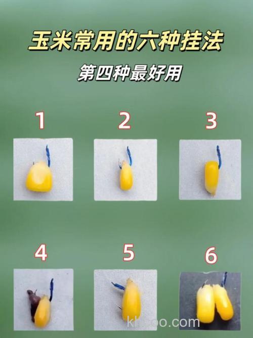 玉米钓鱼怎么挂钩?正确的玉米粒挂钩有哪些？