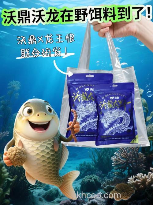 龙王恨是谁代言？