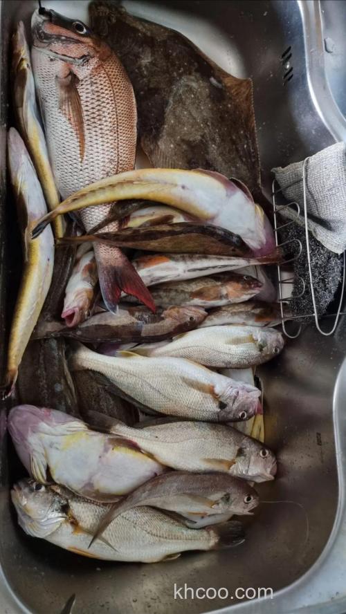 五花猪肉钓什么鱼最快？