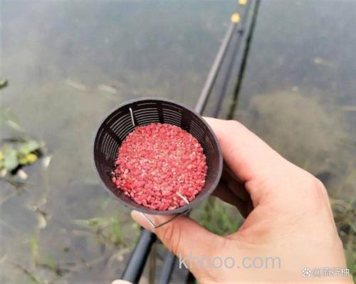 自制冬钓酒米，让你过足连竿瘾