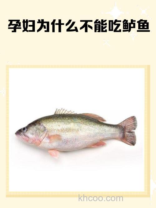 有讯号却不上鱼？？难道不是鱼在吃？