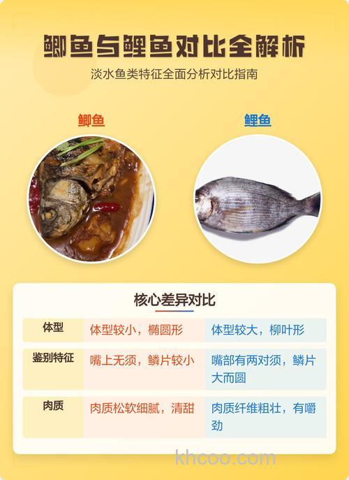 鲫鱼和鲤鱼营养价值的不同？