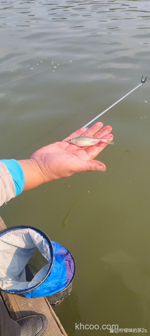 有没有钓友用木糖醇钓过鱼，效果怎么样？