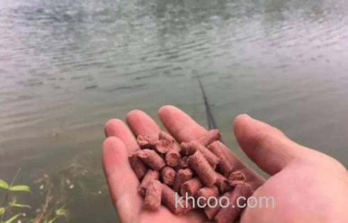 大型水库垂钓鲫鱼的窝子和饵料