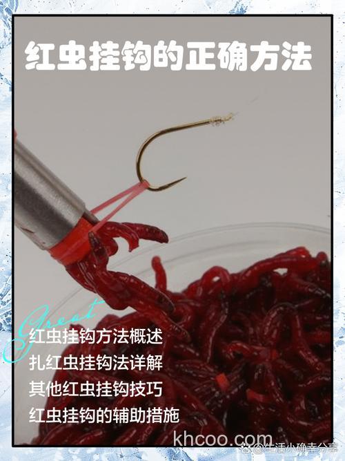 这种挂红虫方法简单快捷又高效