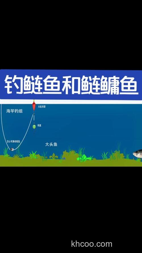 白鲢鱼怎么个钓法