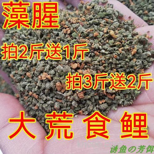 藻腥鱼饵什么季节使用