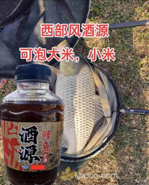 酒泡小米能钓鲤鱼吗