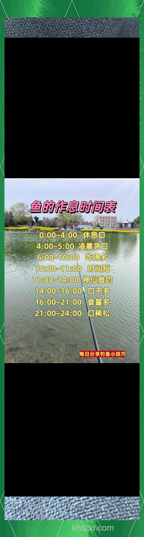 深秋野钓鲤鱼最佳时间是几点?