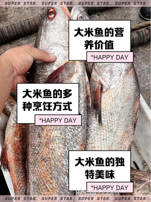 米糠养鱼的正确方法？