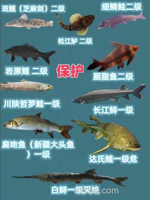 十大牢底坐穿鱼有哪些？