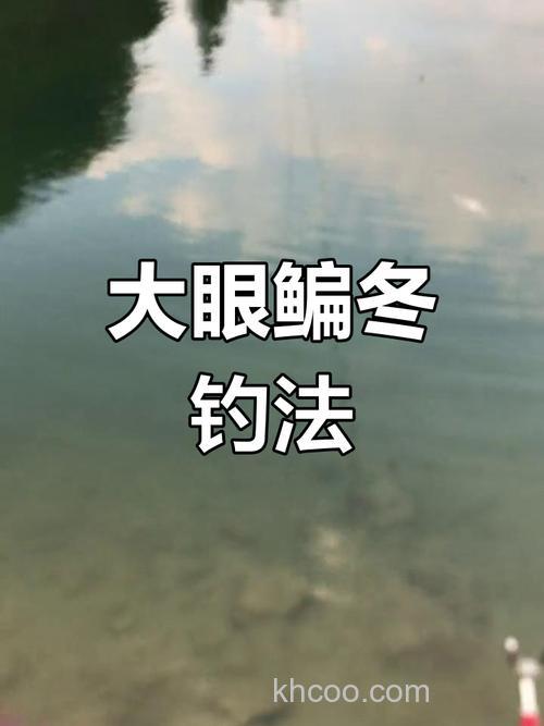 大眼鳊鱼怎么钓?