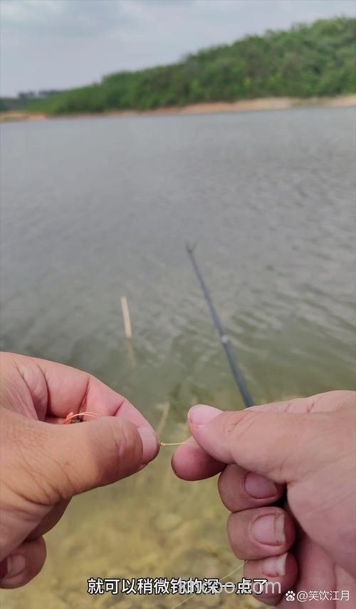 伏天钓鱼深水好还是浅水好？