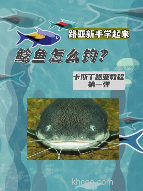 路亚怎样钓鲶鱼