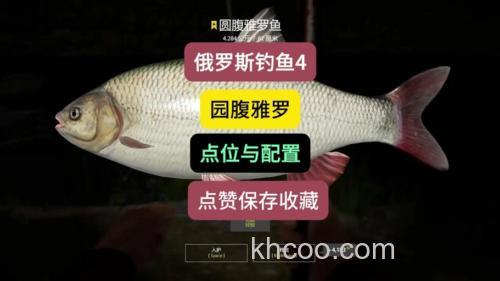 俄罗斯钓鱼小麦粒钓什么？