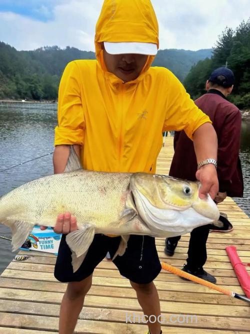 天元浮钓鲢鳙可以钓鲫鱼吗？