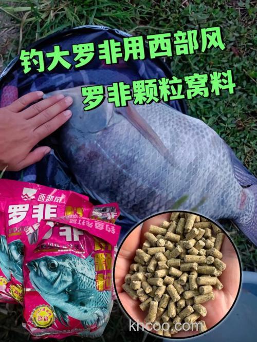 钓野罗非鱼用什么料