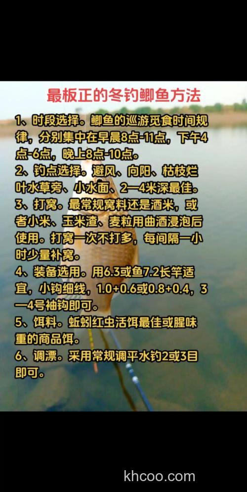 冬季野钓鲫鱼钩饵保持怎样的水底状态