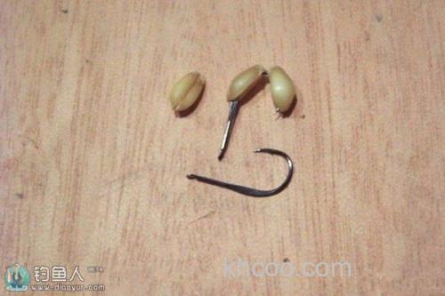 超神奇的四川綿陽卡麦钓法你知道吗？附加自制饵料