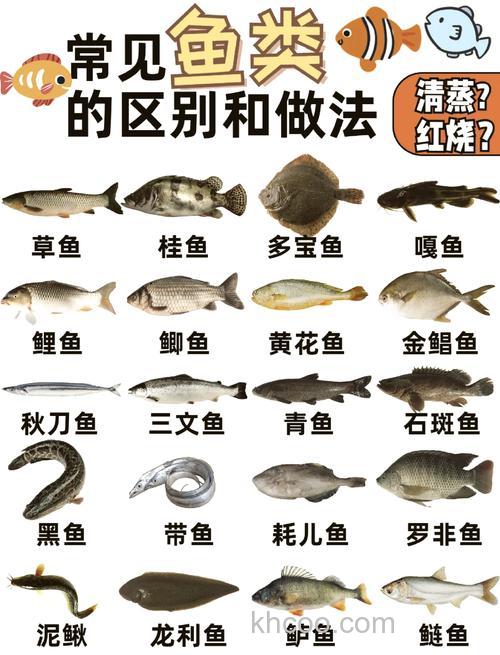 草鱼跟鲤鱼的区别