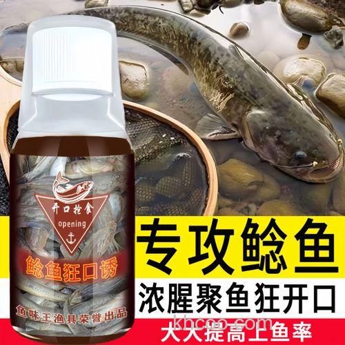 鲶鱼用什么饵料