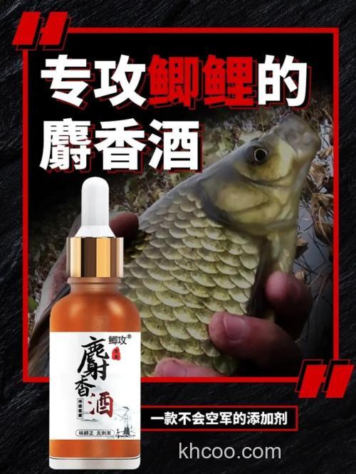 低温钓鲫鱼加麝香酒可以吗？