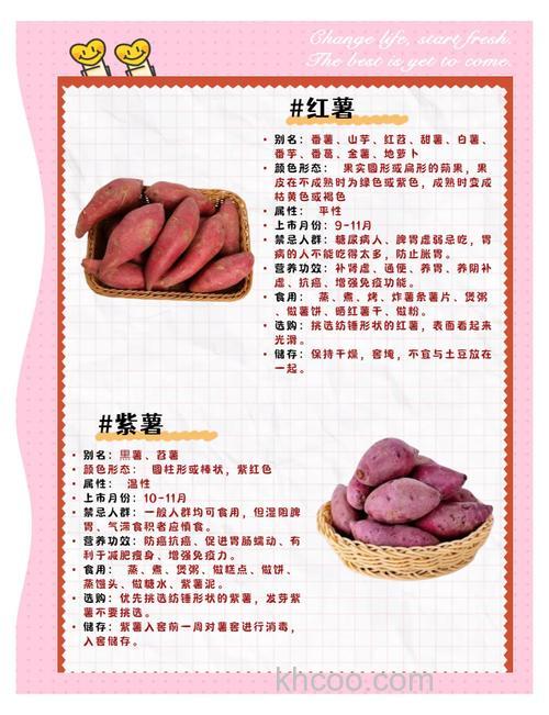 红薯小药的正确用法？