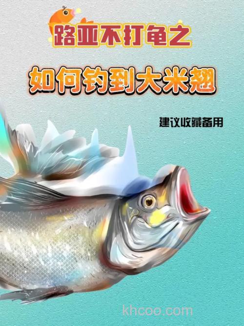 用大米怎么钓鱼