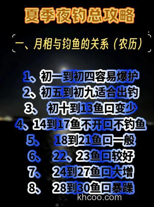 夏天夜钓鲤鱼有啥技巧？这些实用心得助你满载而归