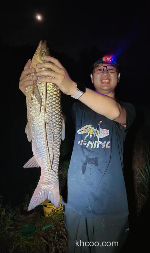 钓草鱼的黄金时间？黑坑钓草鱼也能爆护