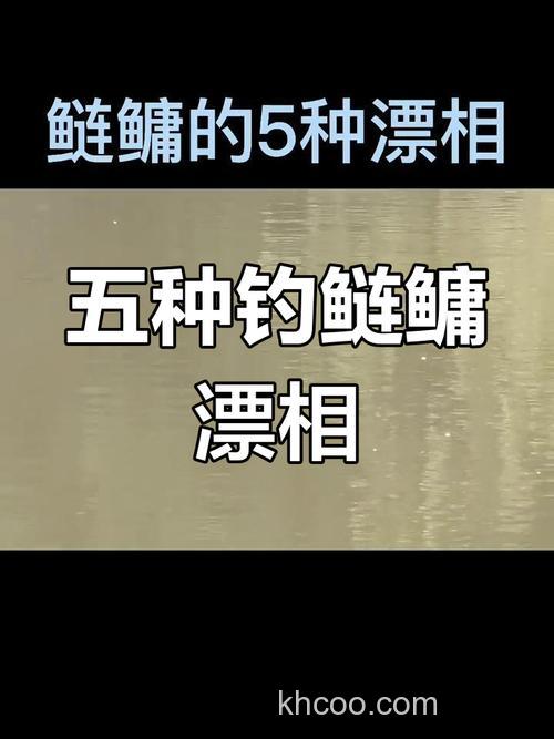 鲢鳙鱼吃饵的6个漂相