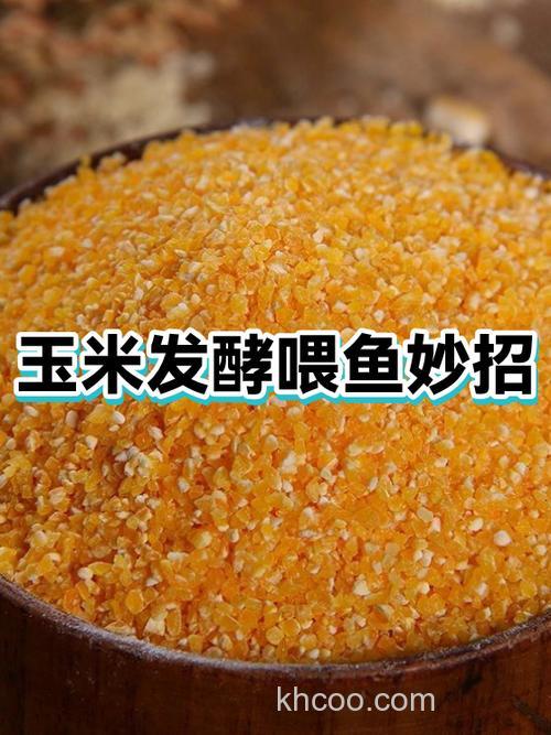 发酵玉米蛋白能喂鱼吗？