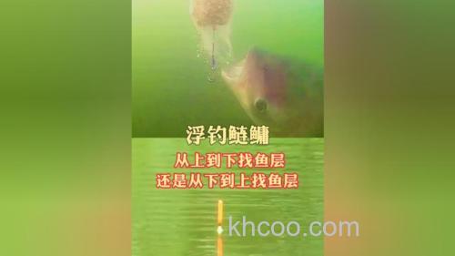 钓鲢鳙从什么时候开始找水层？