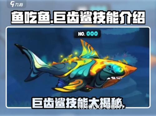 妄想山海钓鲛鲨攻略：掌握技巧，轻松捕获珍贵鱼类