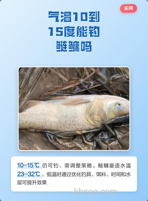 气温低可以钓鲢鳙吗