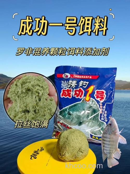 专攻罗非鱼饵料配方？
