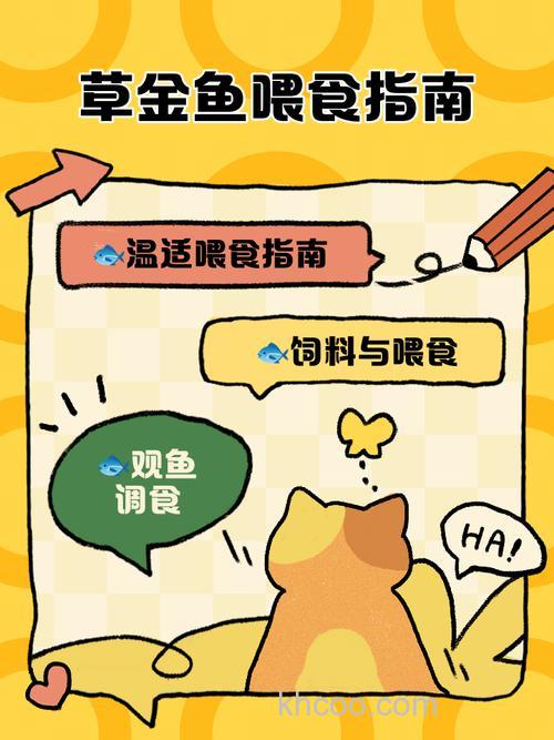 鱼塘草鱼喂的很饱怎么钓（主要给喂玉米、草和食堂的剩菜剩饭）