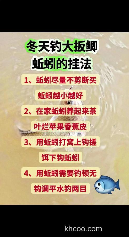 商品饵加蚯蚓，钓鲫鱼秘籍