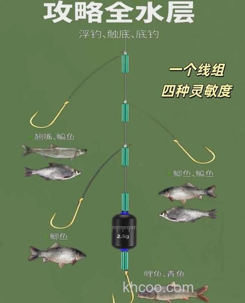 钓鲫鱼用的线组？