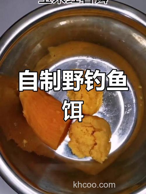 红薯玉米面钓鲤鱼绝密配方？