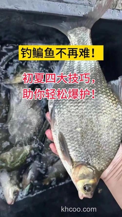 天热时钓鳊鱼的4点技巧