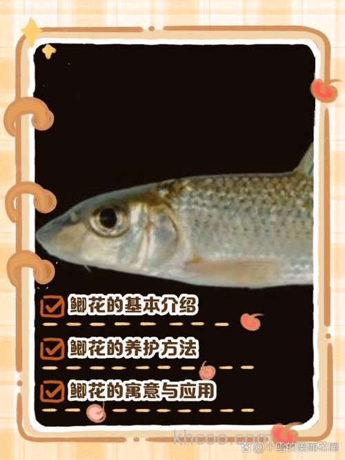 鲫鱼最喜欢吃什么植物？